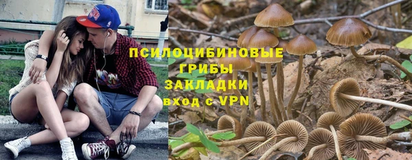 2c-b Балабаново
