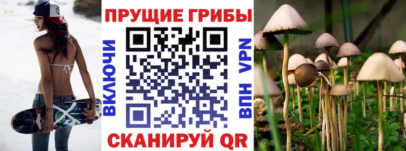 Псилоцибиновые грибы GOLDEN TEACHER  Купить закладки  Дагестанские Огни 